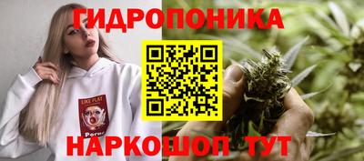 трава Обнинск