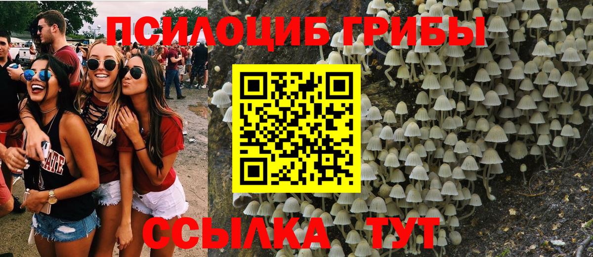 Галлюциногенные грибы GOLDEN TEACHER  Псилоцибиновые грибы Cubensis  Самара  Вход с VPN 